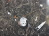 Fossil Stone